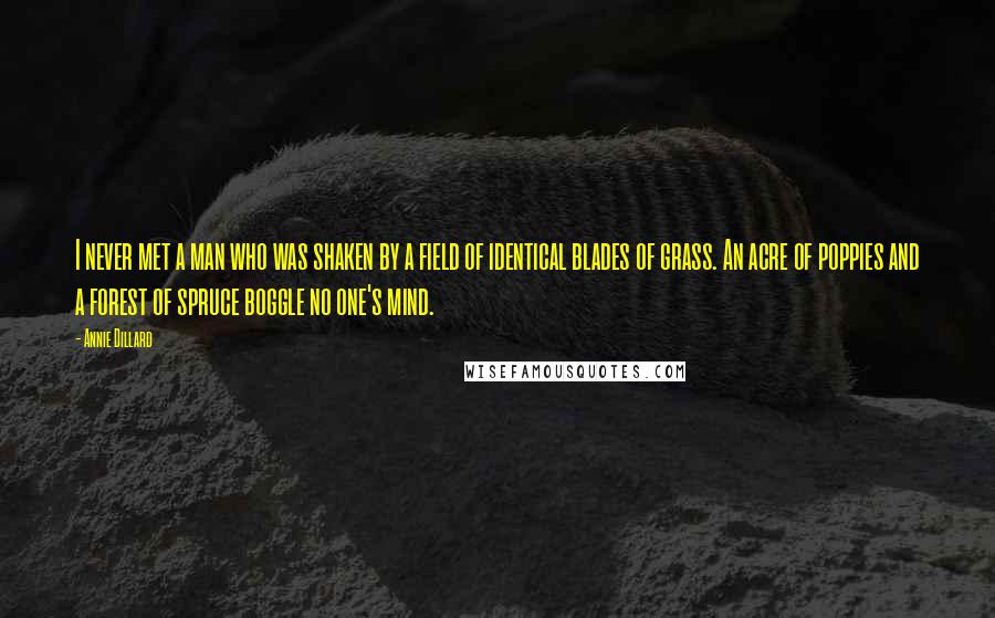 Annie Dillard Quotes: I never met a man who was shaken by a field of identical blades of grass. An acre of poppies and a forest of spruce boggle no one's mind.