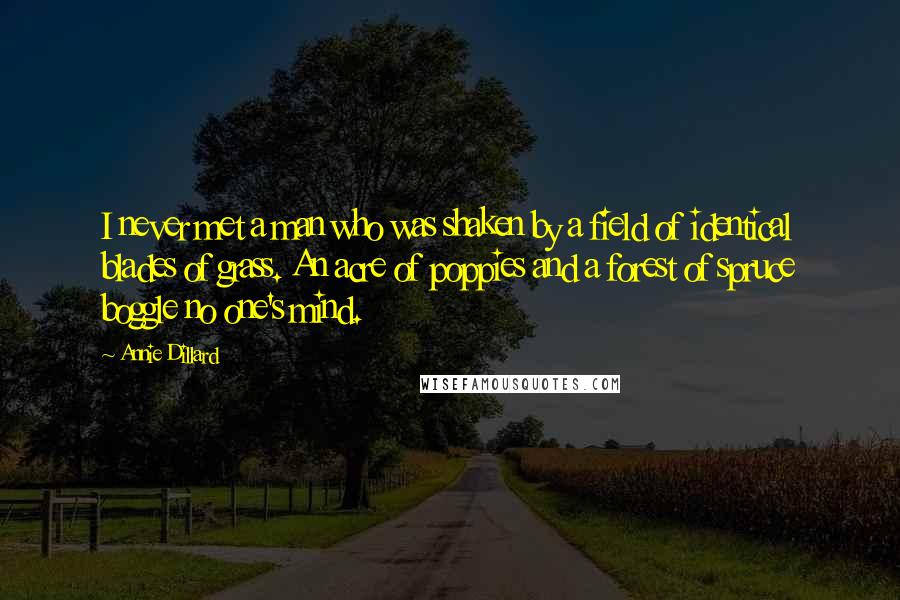 Annie Dillard Quotes: I never met a man who was shaken by a field of identical blades of grass. An acre of poppies and a forest of spruce boggle no one's mind.