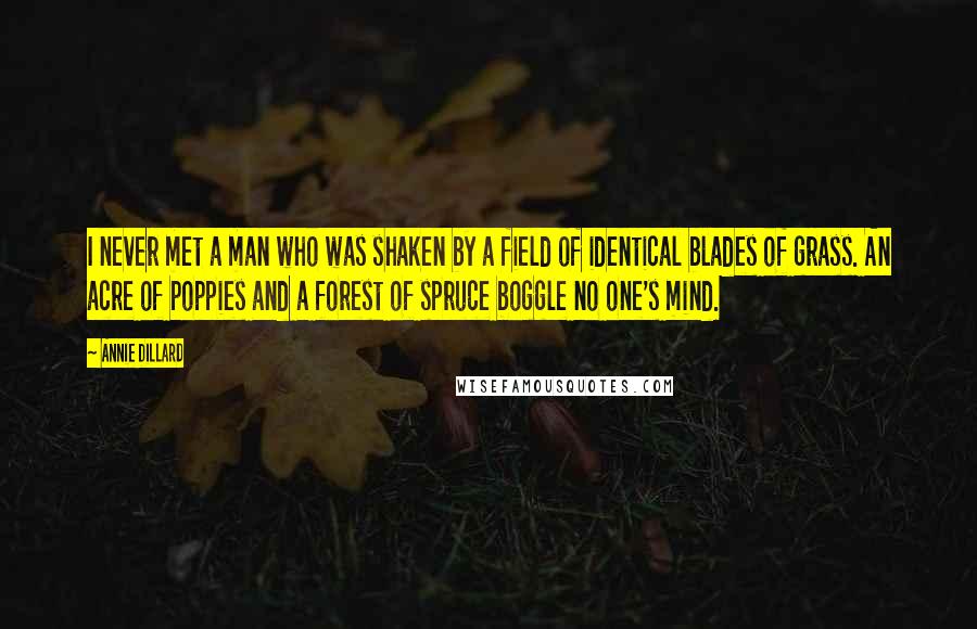 Annie Dillard Quotes: I never met a man who was shaken by a field of identical blades of grass. An acre of poppies and a forest of spruce boggle no one's mind.