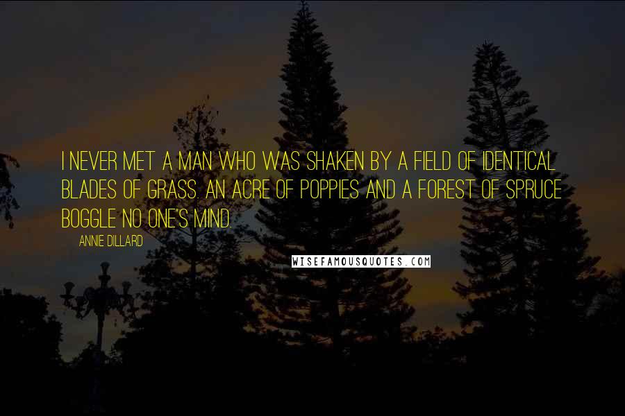 Annie Dillard Quotes: I never met a man who was shaken by a field of identical blades of grass. An acre of poppies and a forest of spruce boggle no one's mind.