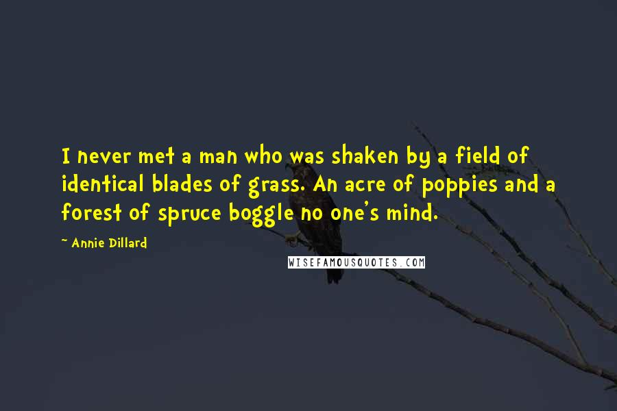 Annie Dillard Quotes: I never met a man who was shaken by a field of identical blades of grass. An acre of poppies and a forest of spruce boggle no one's mind.