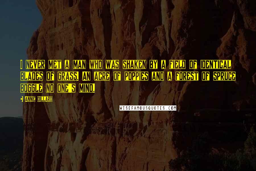 Annie Dillard Quotes: I never met a man who was shaken by a field of identical blades of grass. An acre of poppies and a forest of spruce boggle no one's mind.
