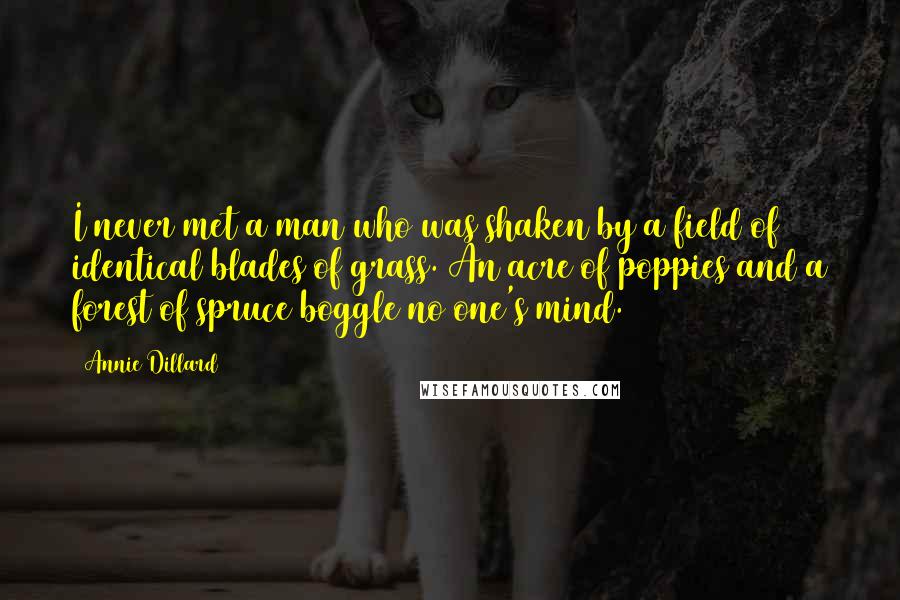 Annie Dillard Quotes: I never met a man who was shaken by a field of identical blades of grass. An acre of poppies and a forest of spruce boggle no one's mind.