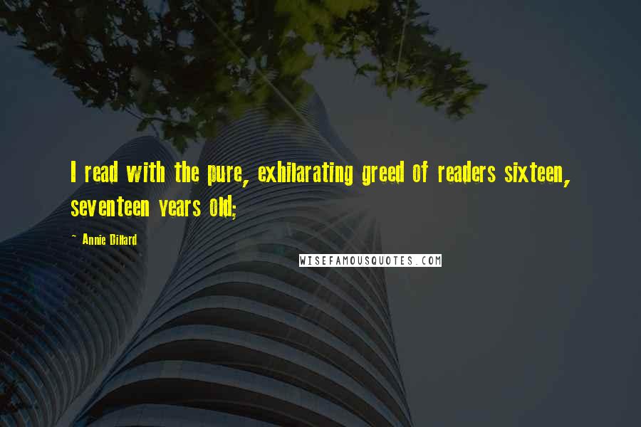 Annie Dillard Quotes: I read with the pure, exhilarating greed of readers sixteen, seventeen years old;