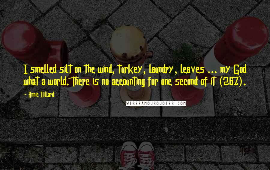 Annie Dillard Quotes: I smelled silt on the wind, turkey, laundry, leaves ... my God what a world. There is no accounting for one second of it (267).