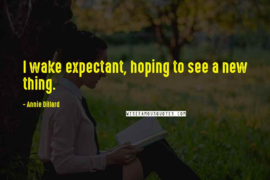 Annie Dillard Quotes: I wake expectant, hoping to see a new thing.