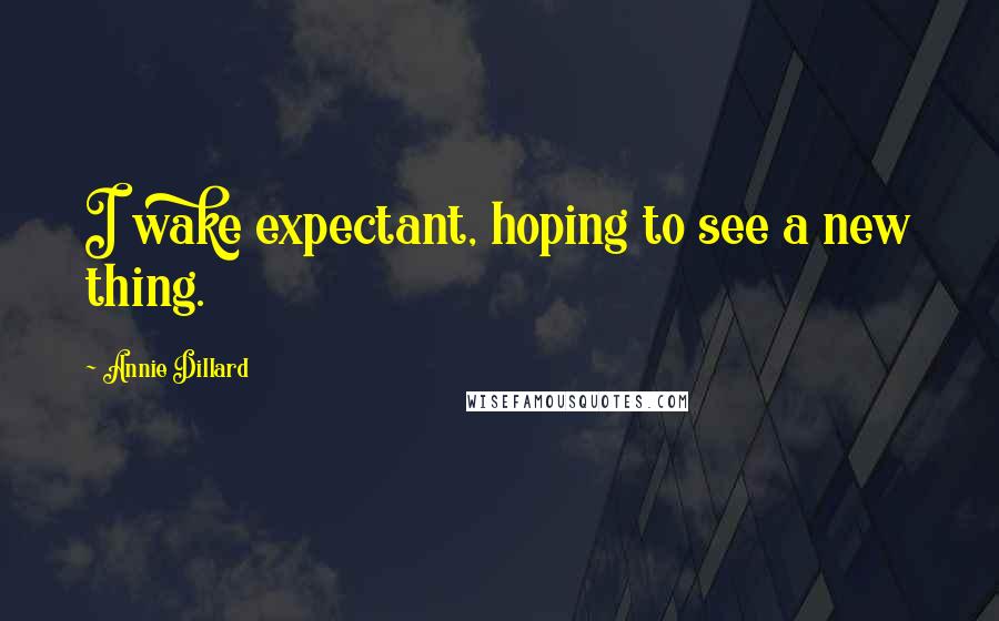 Annie Dillard Quotes: I wake expectant, hoping to see a new thing.