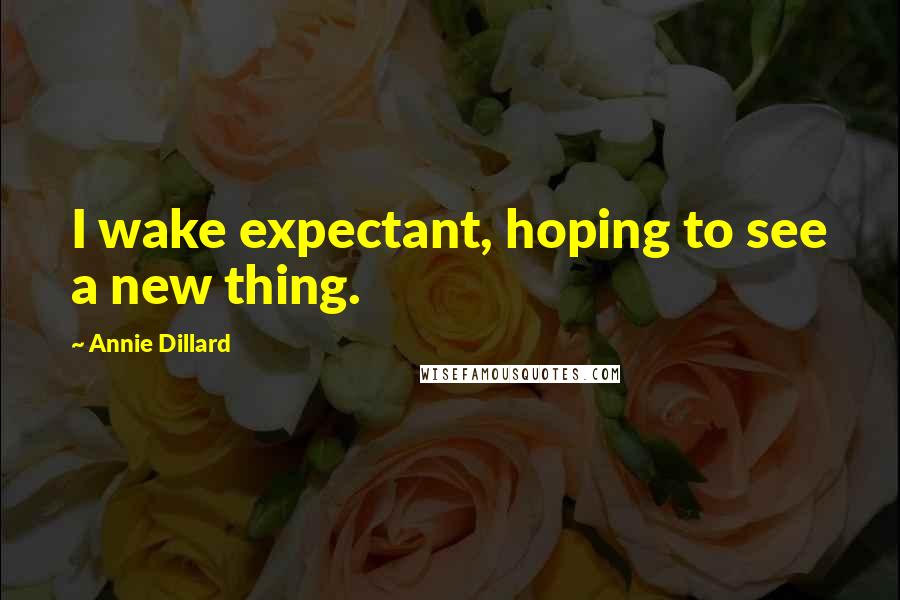 Annie Dillard Quotes: I wake expectant, hoping to see a new thing.