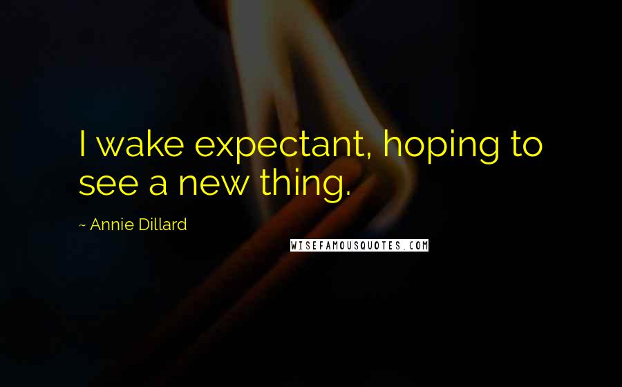 Annie Dillard Quotes: I wake expectant, hoping to see a new thing.