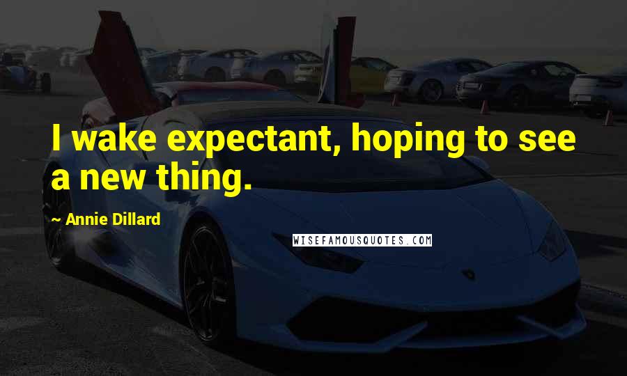 Annie Dillard Quotes: I wake expectant, hoping to see a new thing.