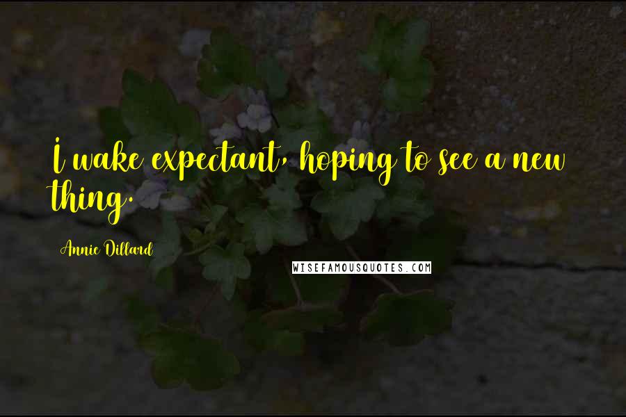 Annie Dillard Quotes: I wake expectant, hoping to see a new thing.