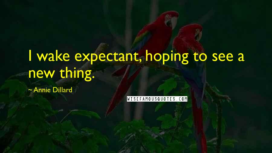 Annie Dillard Quotes: I wake expectant, hoping to see a new thing.