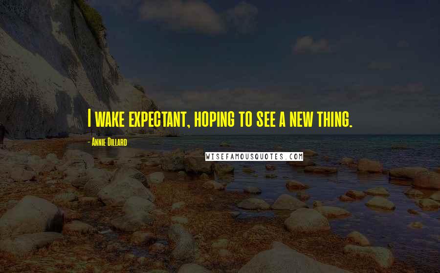 Annie Dillard Quotes: I wake expectant, hoping to see a new thing.