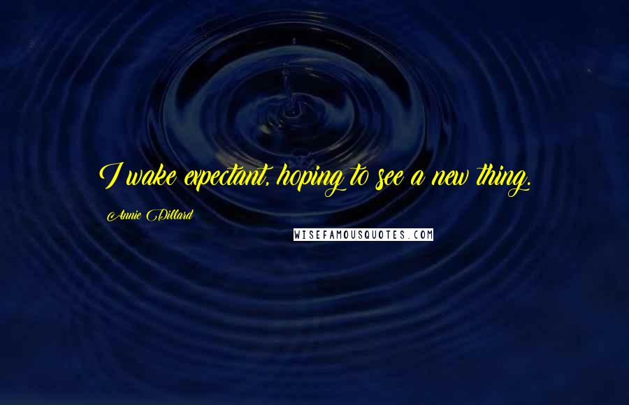 Annie Dillard Quotes: I wake expectant, hoping to see a new thing.