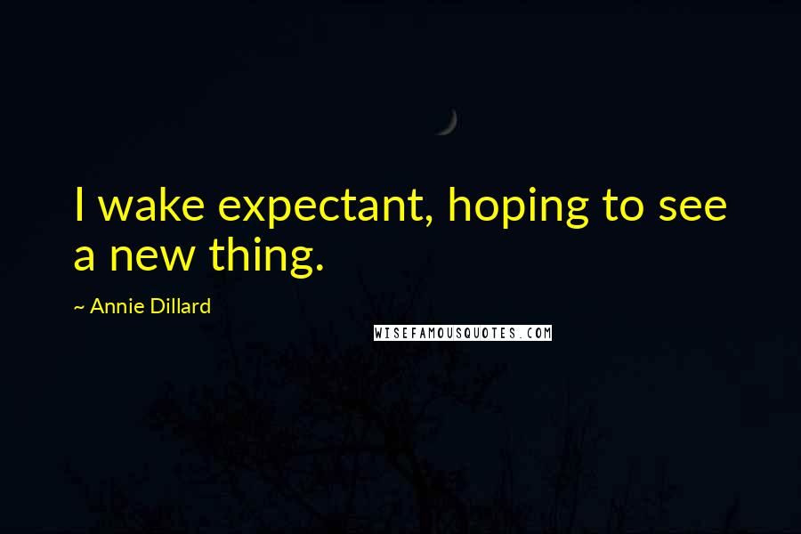 Annie Dillard Quotes: I wake expectant, hoping to see a new thing.