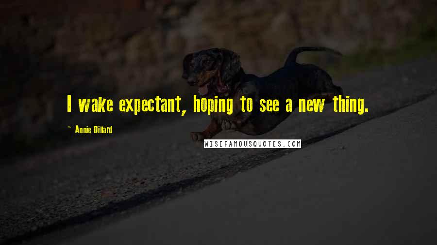 Annie Dillard Quotes: I wake expectant, hoping to see a new thing.