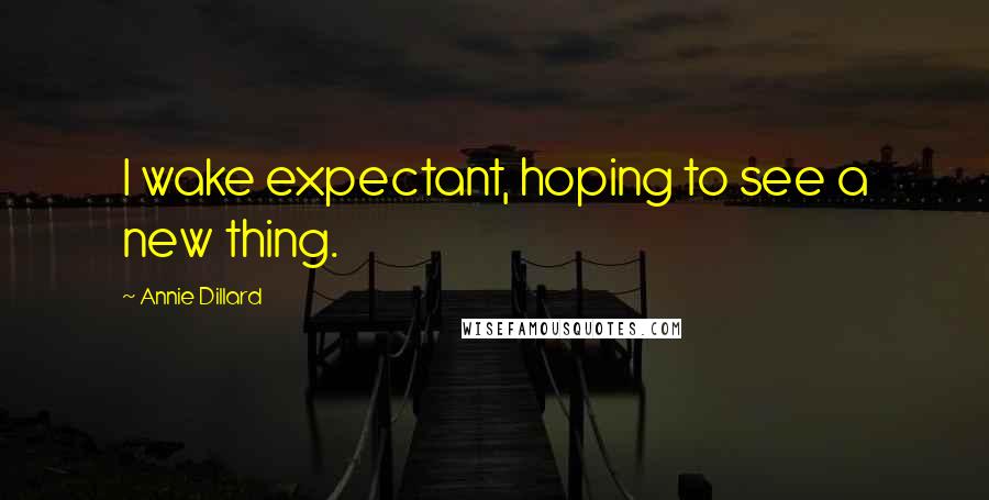 Annie Dillard Quotes: I wake expectant, hoping to see a new thing.