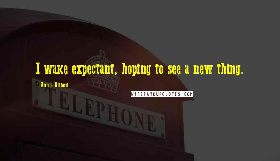 Annie Dillard Quotes: I wake expectant, hoping to see a new thing.