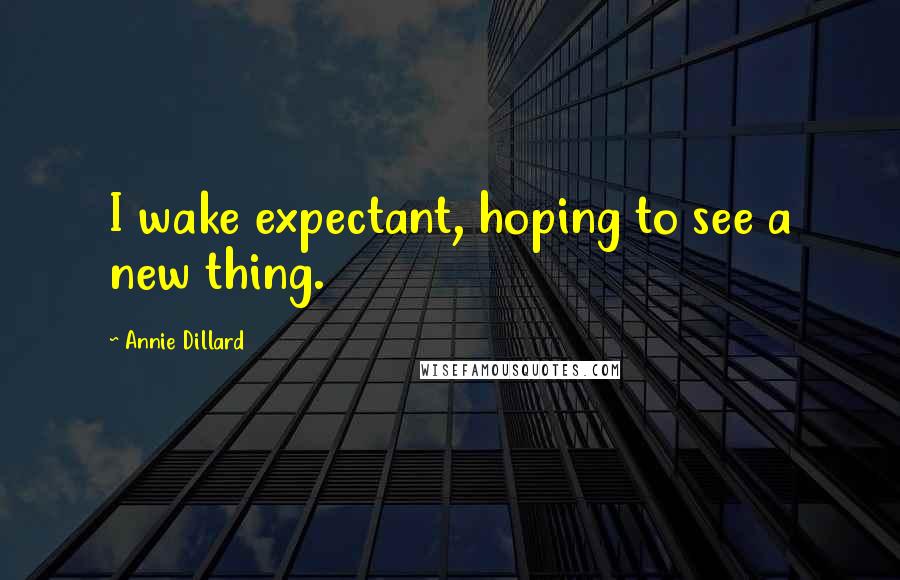 Annie Dillard Quotes: I wake expectant, hoping to see a new thing.