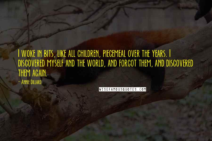 Annie Dillard Quotes: I woke in bits, like all children, piecemeal over the years. I discovered myself and the world, and forgot them, and discovered them again.