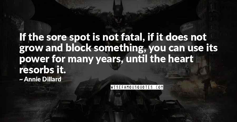 Annie Dillard Quotes: If the sore spot is not fatal, if it does not grow and block something, you can use its power for many years, until the heart resorbs it.