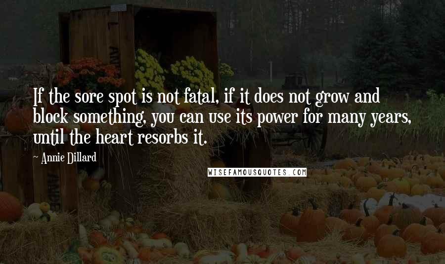 Annie Dillard Quotes: If the sore spot is not fatal, if it does not grow and block something, you can use its power for many years, until the heart resorbs it.