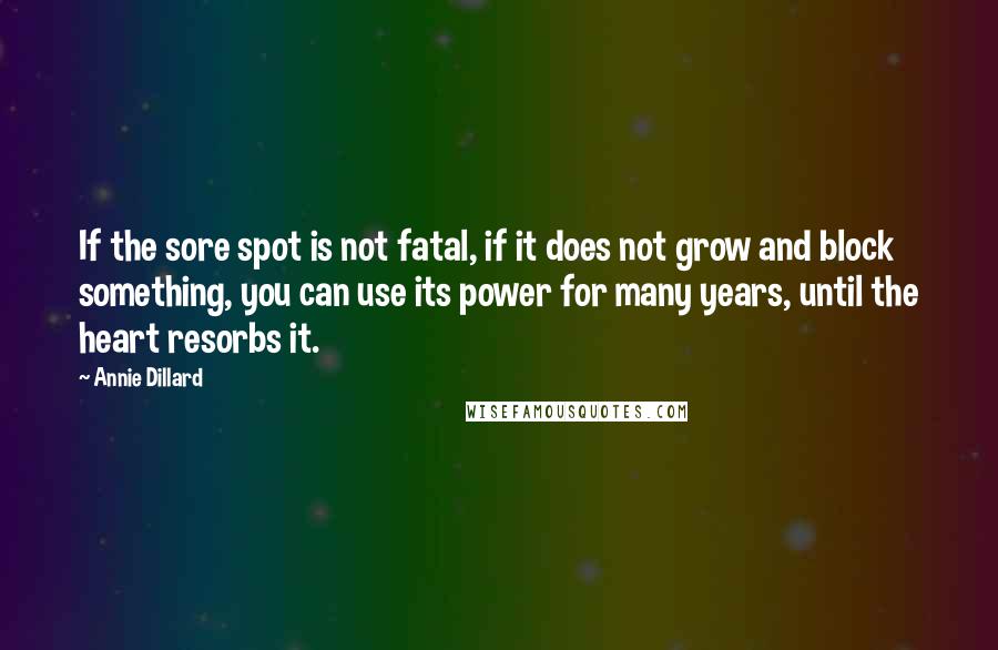 Annie Dillard Quotes: If the sore spot is not fatal, if it does not grow and block something, you can use its power for many years, until the heart resorbs it.