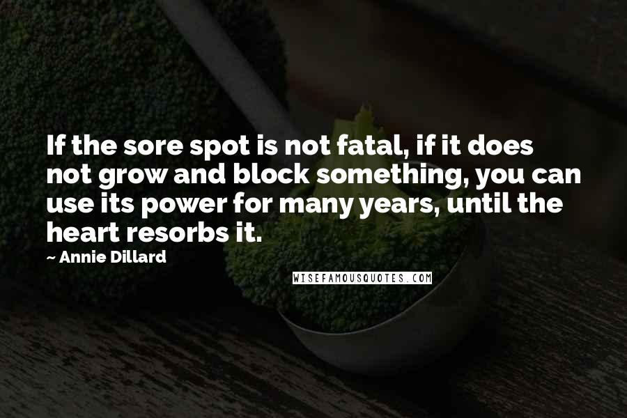 Annie Dillard Quotes: If the sore spot is not fatal, if it does not grow and block something, you can use its power for many years, until the heart resorbs it.