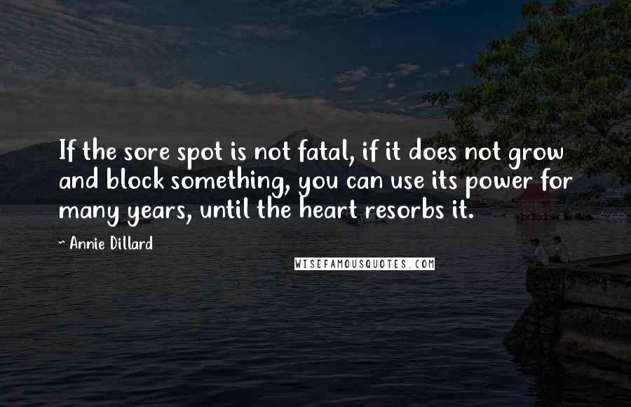 Annie Dillard Quotes: If the sore spot is not fatal, if it does not grow and block something, you can use its power for many years, until the heart resorbs it.