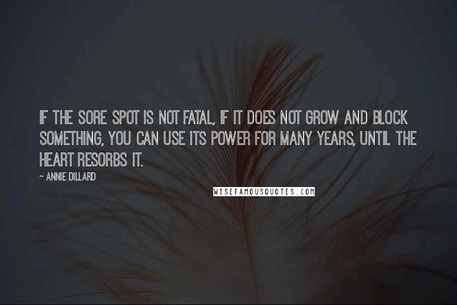 Annie Dillard Quotes: If the sore spot is not fatal, if it does not grow and block something, you can use its power for many years, until the heart resorbs it.