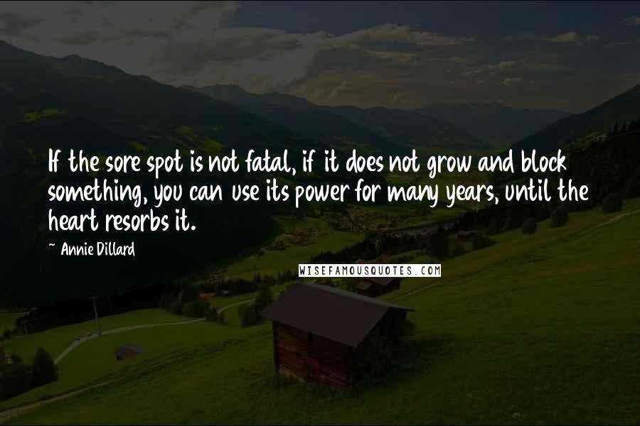 Annie Dillard Quotes: If the sore spot is not fatal, if it does not grow and block something, you can use its power for many years, until the heart resorbs it.