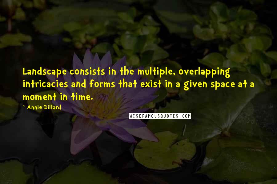 Annie Dillard Quotes: Landscape consists in the multiple, overlapping intricacies and forms that exist in a given space at a moment in time.