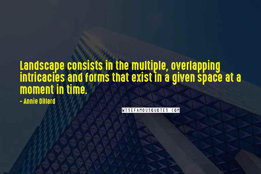 Annie Dillard Quotes: Landscape consists in the multiple, overlapping intricacies and forms that exist in a given space at a moment in time.