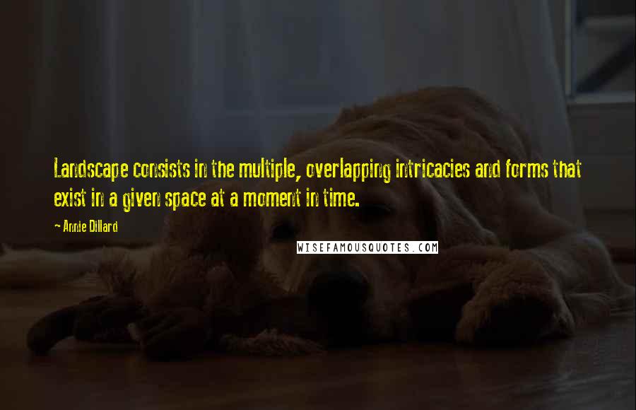 Annie Dillard Quotes: Landscape consists in the multiple, overlapping intricacies and forms that exist in a given space at a moment in time.