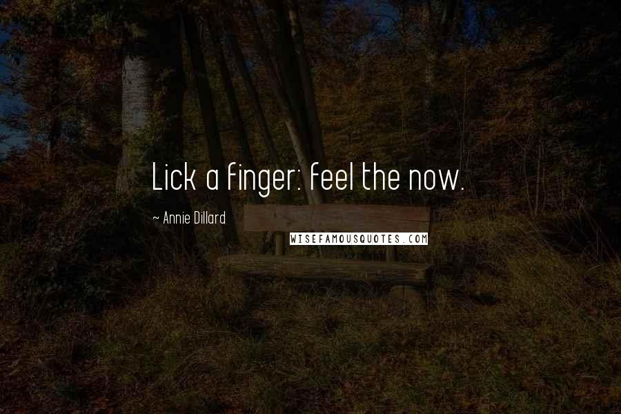 Annie Dillard Quotes: Lick a finger: feel the now.