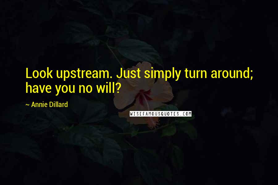 Annie Dillard Quotes: Look upstream. Just simply turn around; have you no will?
