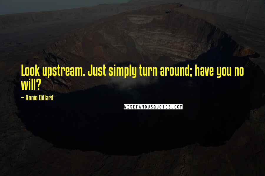 Annie Dillard Quotes: Look upstream. Just simply turn around; have you no will?