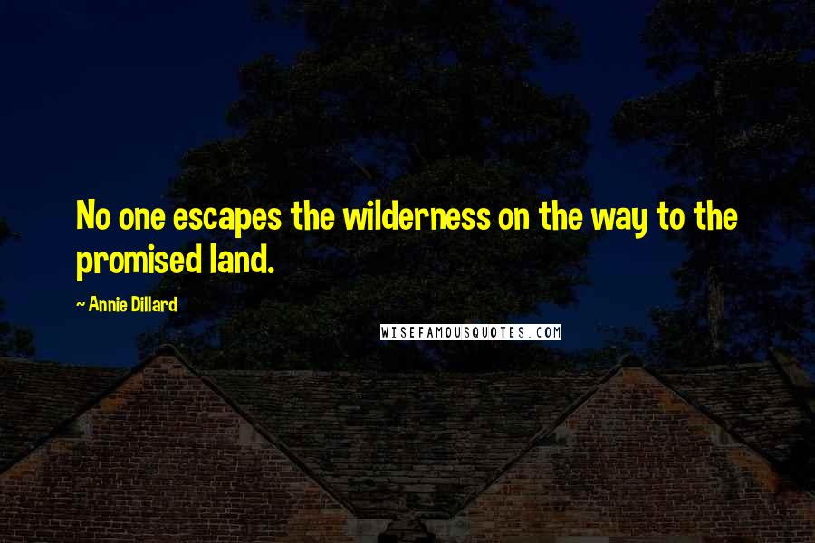 Annie Dillard Quotes: No one escapes the wilderness on the way to the promised land.