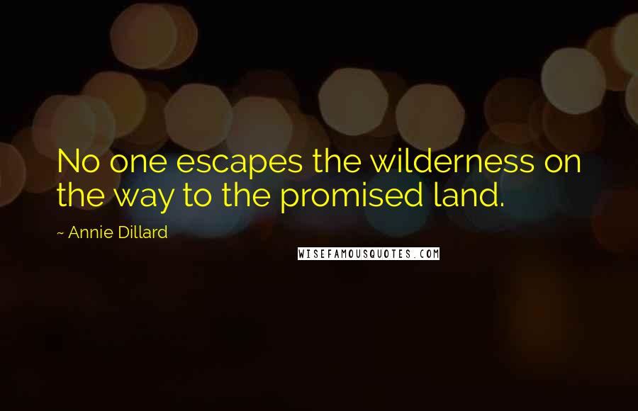 Annie Dillard Quotes: No one escapes the wilderness on the way to the promised land.