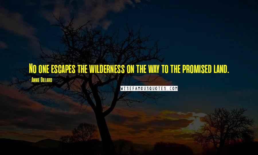 Annie Dillard Quotes: No one escapes the wilderness on the way to the promised land.