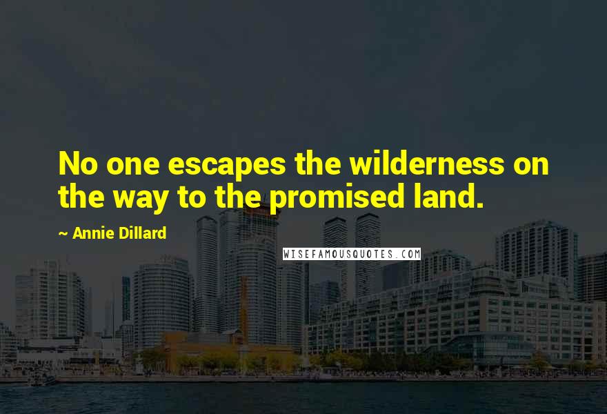 Annie Dillard Quotes: No one escapes the wilderness on the way to the promised land.