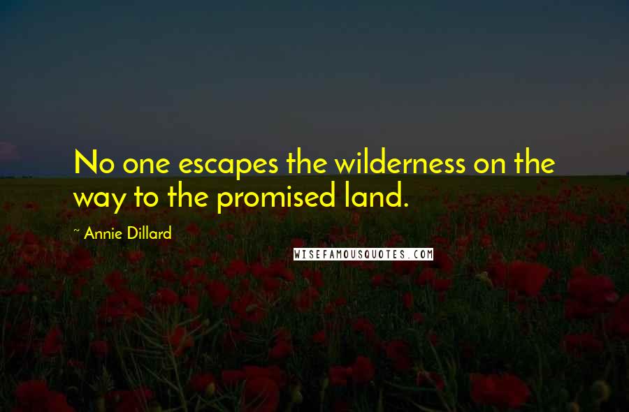 Annie Dillard Quotes: No one escapes the wilderness on the way to the promised land.