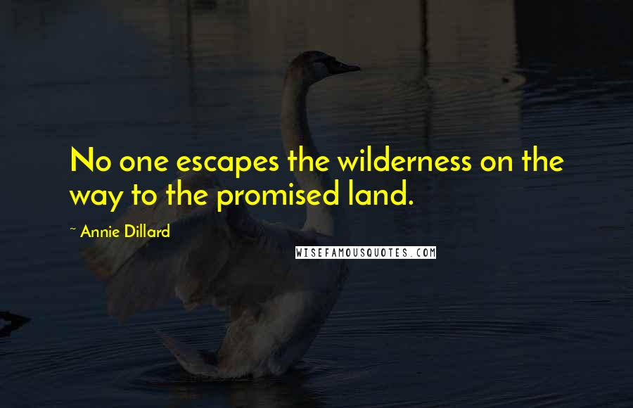 Annie Dillard Quotes: No one escapes the wilderness on the way to the promised land.