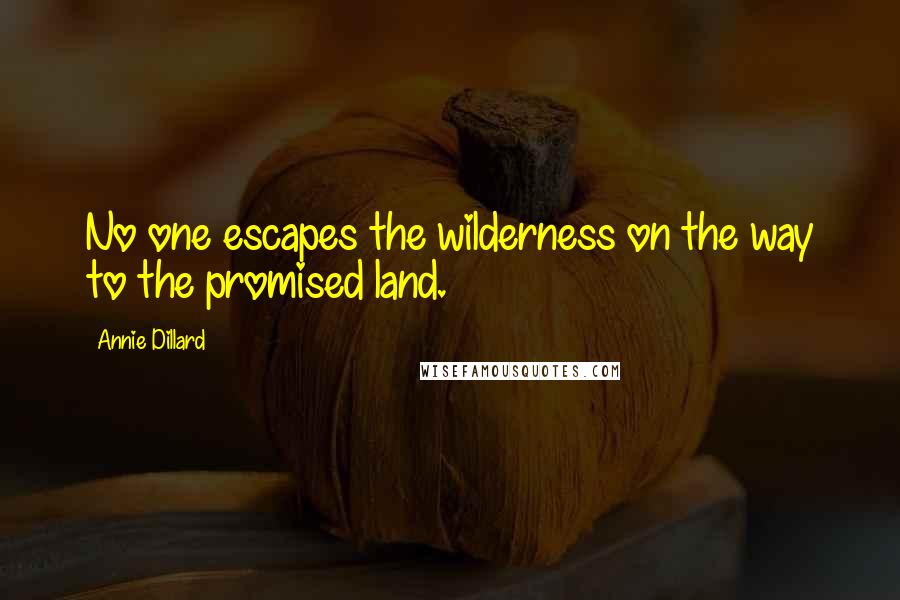 Annie Dillard Quotes: No one escapes the wilderness on the way to the promised land.