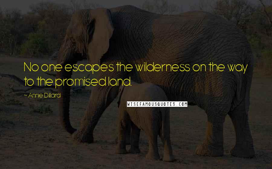 Annie Dillard Quotes: No one escapes the wilderness on the way to the promised land.