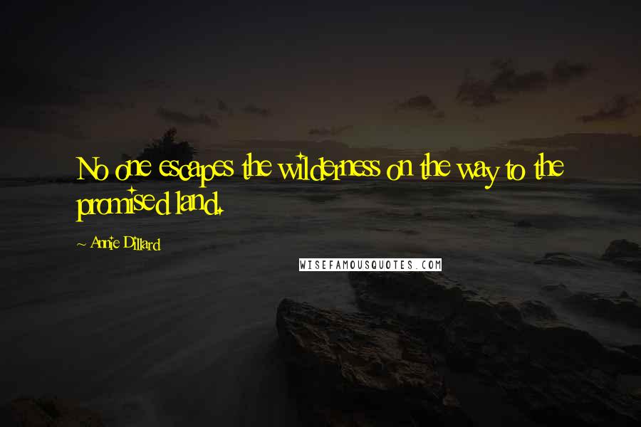 Annie Dillard Quotes: No one escapes the wilderness on the way to the promised land.