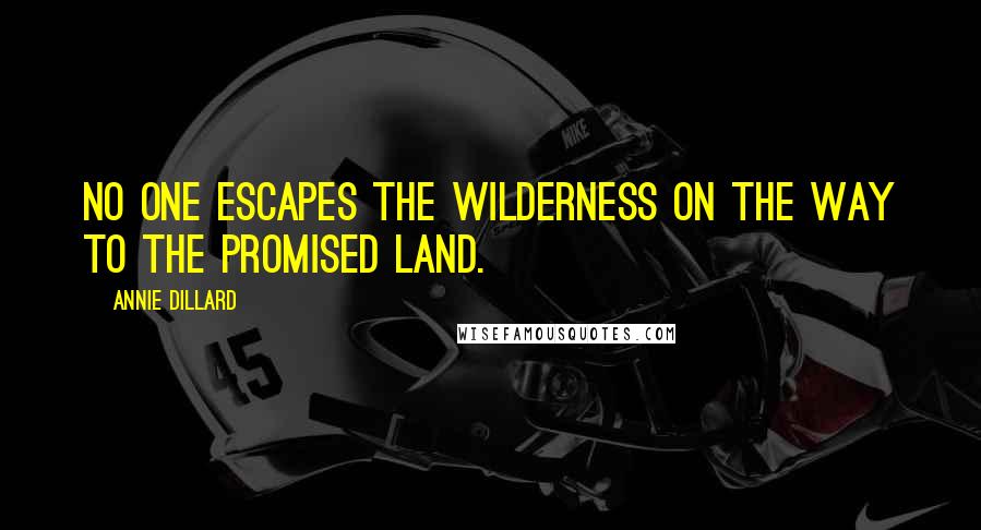 Annie Dillard Quotes: No one escapes the wilderness on the way to the promised land.