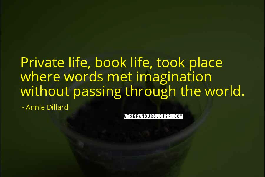 Annie Dillard Quotes: Private life, book life, took place where words met imagination without passing through the world.