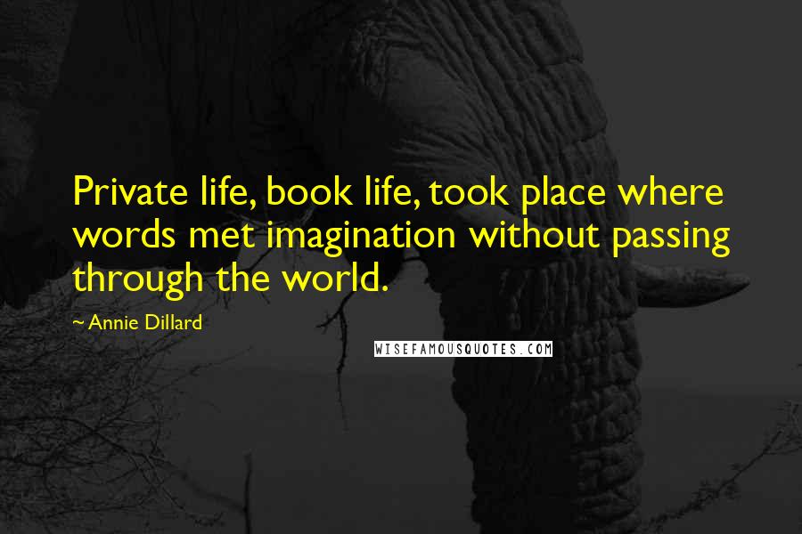 Annie Dillard Quotes: Private life, book life, took place where words met imagination without passing through the world.