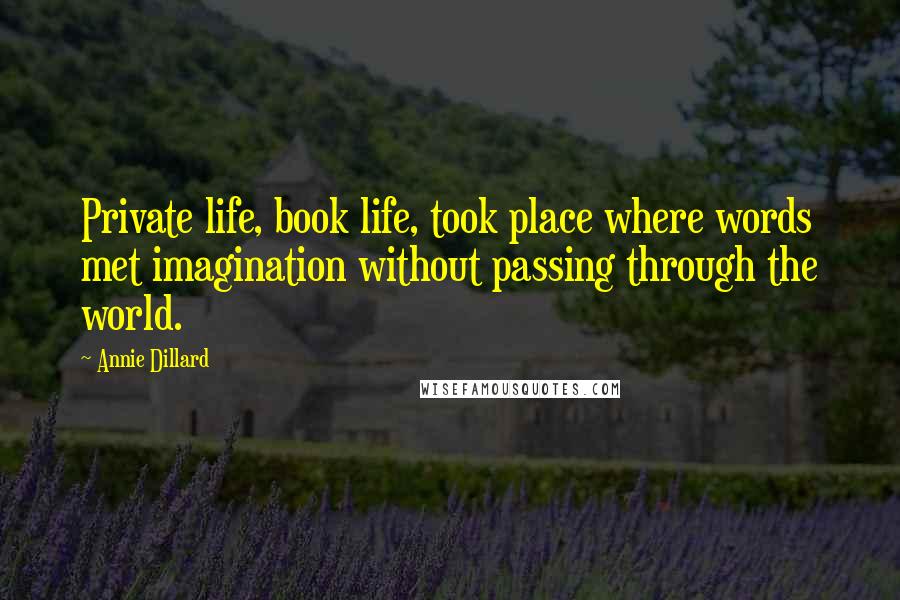 Annie Dillard Quotes: Private life, book life, took place where words met imagination without passing through the world.